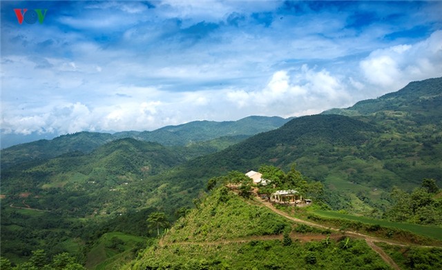 anh: gian nan, vat va nhu giao vien bam ban hinh 1