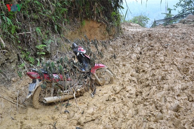 anh: gian nan, vat va nhu giao vien bam ban hinh 3