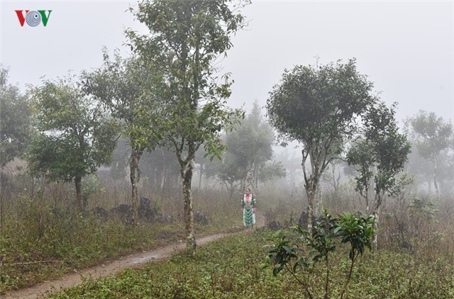 anh: gian nan, vat va nhu giao vien bam ban hinh 6