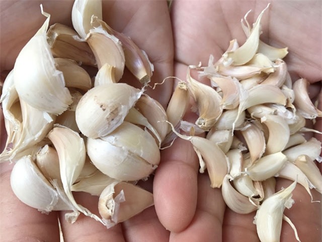 toi ly son gia qua cao, phai tan dung ca tep coi de trong hinh anh 1