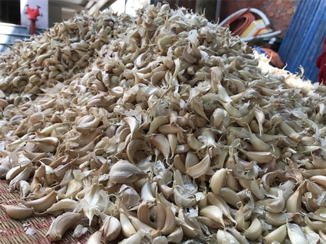 toi ly son gia qua cao, phai tan dung ca tep coi de trong hinh anh 4