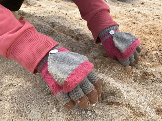 toi ly son gia qua cao, phai tan dung ca tep coi de trong hinh anh 5