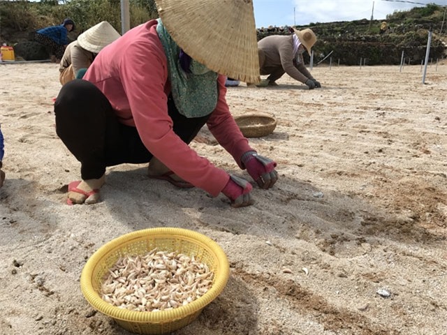 toi ly son gia qua cao, phai tan dung ca tep coi de trong hinh anh 6