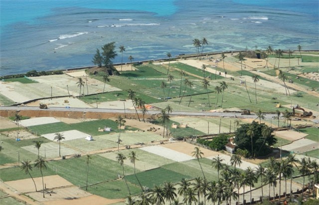 toi ly son gia qua cao, phai tan dung ca tep coi de trong hinh anh 7