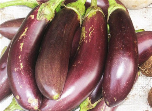 thai ca tim thanh lat mong va ngam nuoc de co hon hop lam dep hieu qua bat ngo - 1