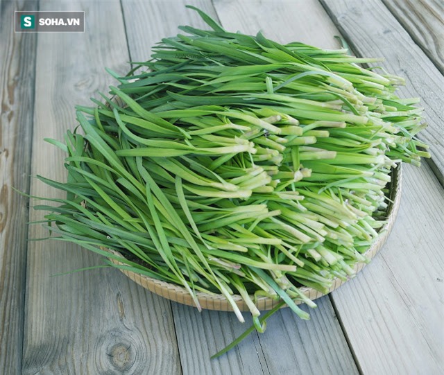 Vì sao từ xưa đã có câu: Đàn ông không thể thiếu hẹ, đàn bà không thể thiếu ngó sen? - Ảnh 2.
