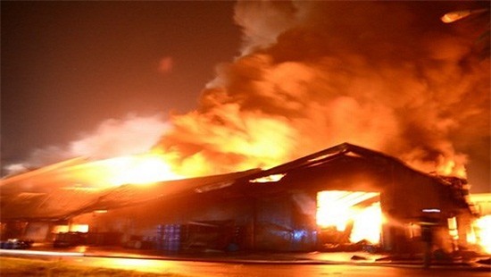 phong hoa dot nha 1 - phu