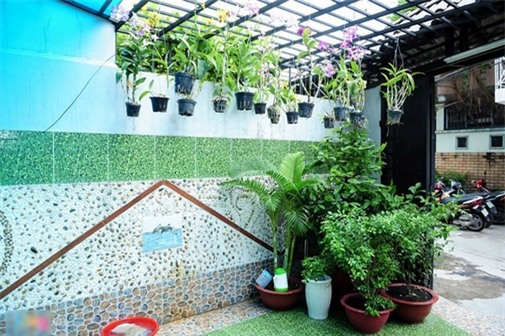 bao anh ho quang hieu blogtamsuvn (4)