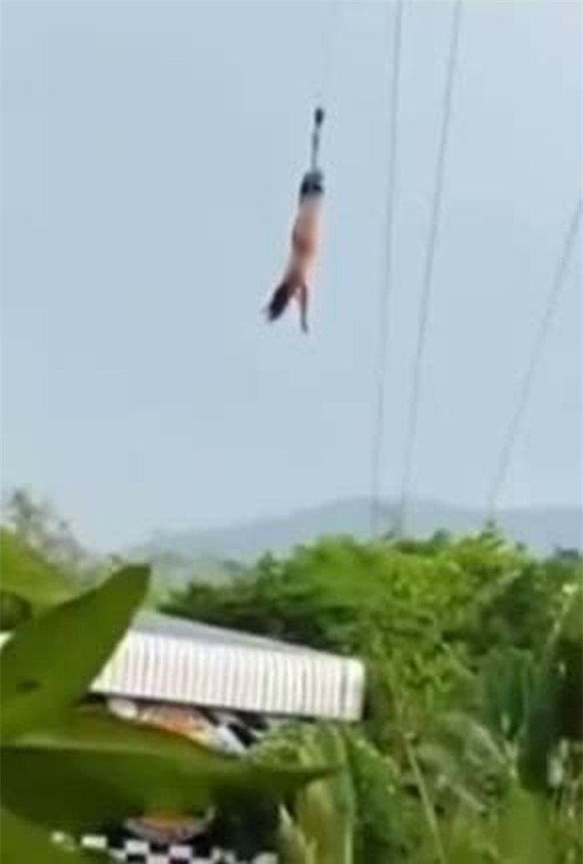 Say sưa nhảy bungee, cô gái trẻ bị bay sạch quần áo mặc trên người - Ảnh 2.