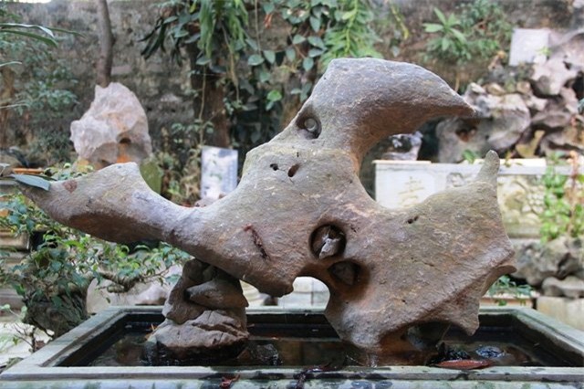 Bộ sưu tập độc thạch quý hiếm của lão ông Ninh Bình