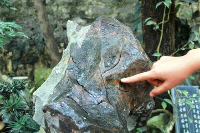 Bộ sưu tập độc thạch quý hiếm của lão ông Ninh Bình