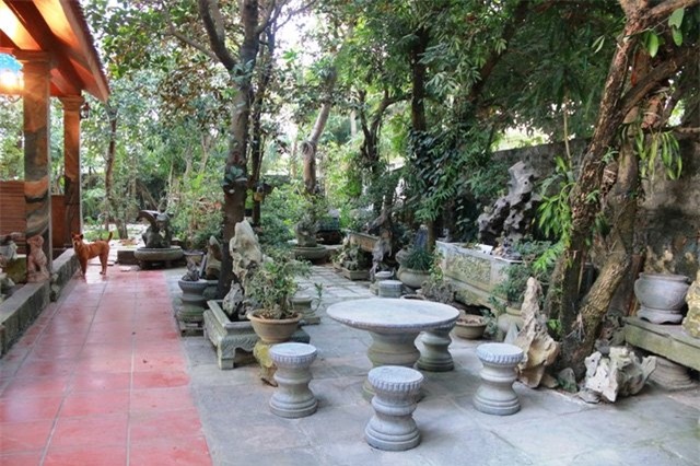 Bộ sưu tập độc thạch quý hiếm của lão ông Ninh Bình