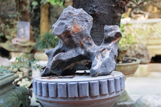 Bộ sưu tập độc thạch quý hiếm của lão ông Ninh Bình