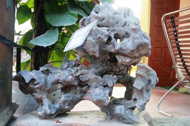 Bộ sưu tập độc thạch quý hiếm của lão ông Ninh Bình