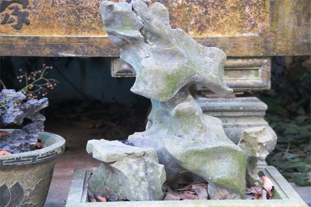 Bộ sưu tập độc thạch quý hiếm của lão ông Ninh Bình