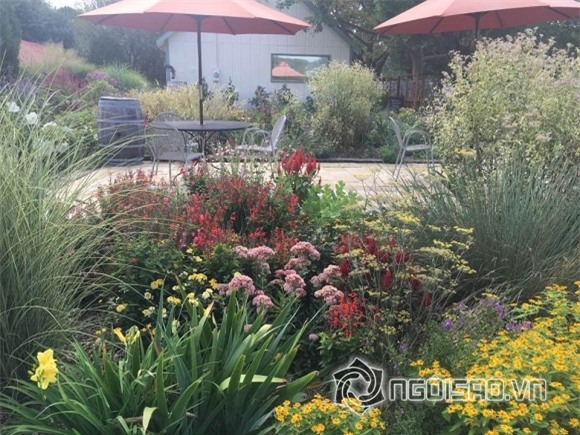 Hoa hậu Ngọc Khánh 1