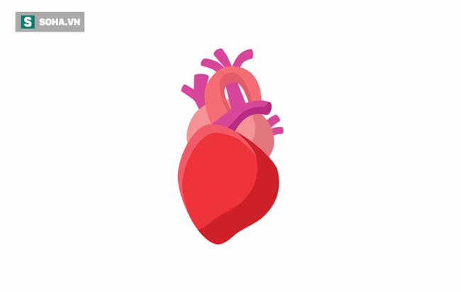 Đặt 2 ngón tay lên cổ hoặc cổ tay, đếm đến 15 để đoán căn bệnh âm thầm nhưng nguy hiểm - Ảnh 2.