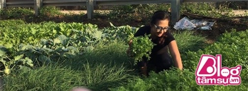 btv van anh blogtamsuvn (22)