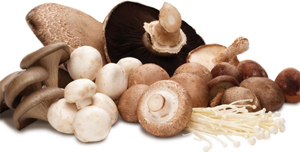 phong chong benh ung thu bang 7 mon an quen thuoc duoi day hinh anh 2