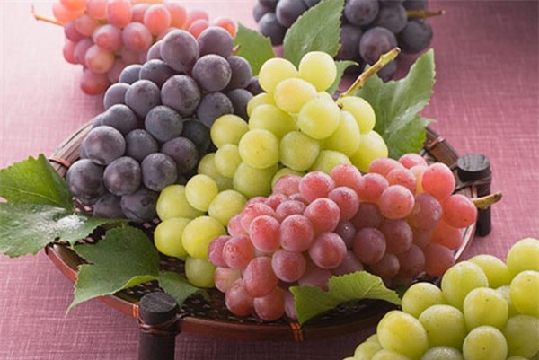 phong chong benh ung thu bang 7 mon an quen thuoc duoi day hinh anh 4