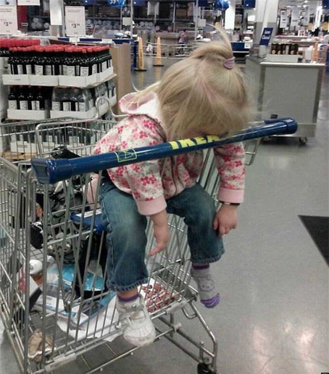 hai huoc voi tu the "ngat tren canh quat" sieu dang yeu hinh anh 15