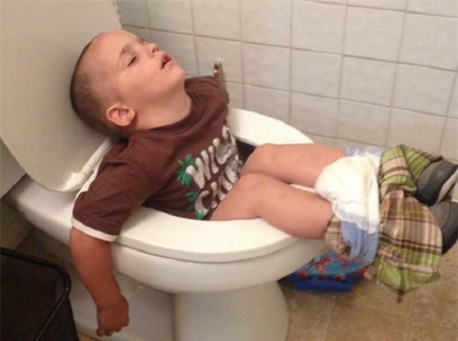 hai huoc voi tu the "ngat tren canh quat" sieu dang yeu hinh anh 3