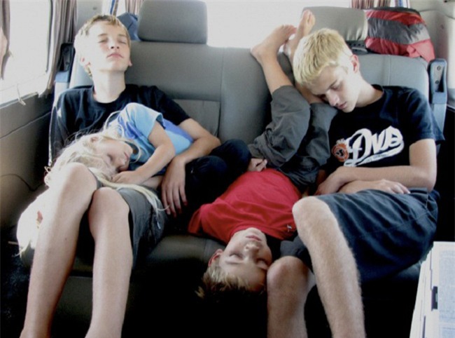 hai huoc voi tu the "ngat tren canh quat" sieu dang yeu hinh anh 7