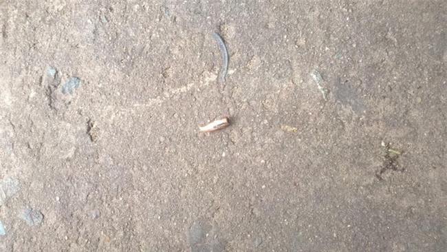 Bình Dương: Đạn bắn thủng cửa kính, cháu bé 3 tuổi thoát chết trong gang tấc - Ảnh 3.