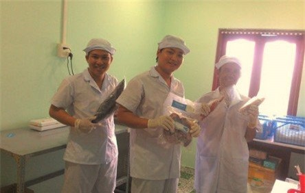 Mô hình 'cá ngủ đông' độc đáo của 9X tại Sài Gòn