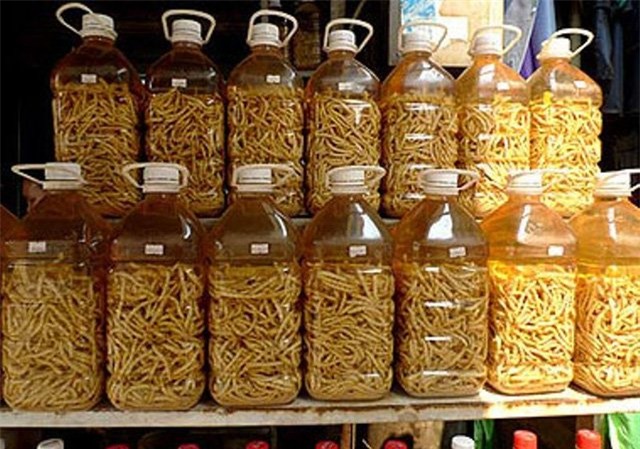 Bò tái kiến đốt: Món ăn chuẩn hương vị Tam Đảo