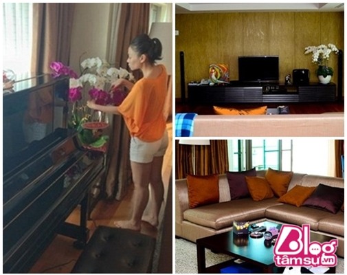 nha thue sao viet blogtamsuvn (11)