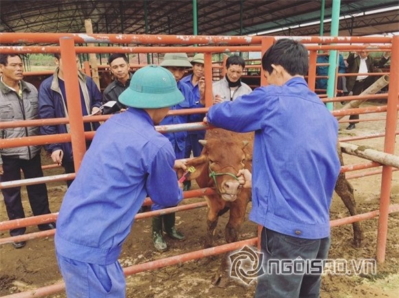 MC Phan Anh lấy lại facebook 0