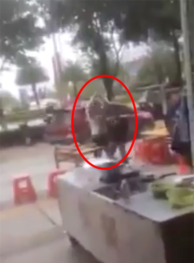 Vì câu nói đồ có ngon không?, nam thanh niên chém gục chủ quán - Ảnh 4.