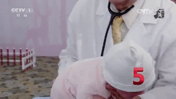 Dỗ trẻ nín khóc