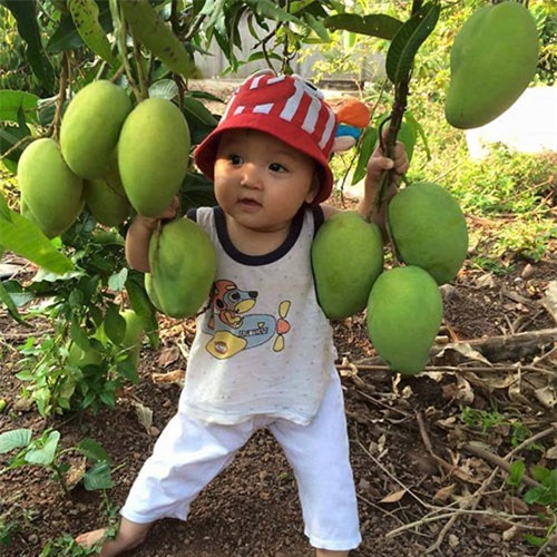 ten dep hop menh cho con sinh nam dinh dau 2017, ca doi binh an phat tai - 3