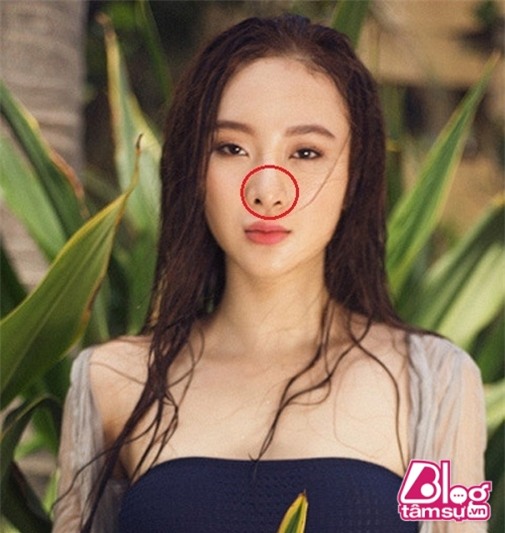angela phuong trinh blogtamsuvn (11)