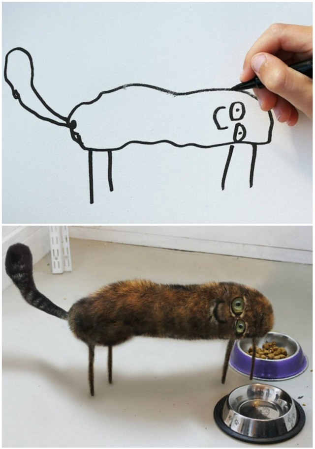 Không quá khó để nhận ra đây là một chú mèo