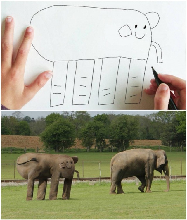 Một chú voi cùng bạn của mình