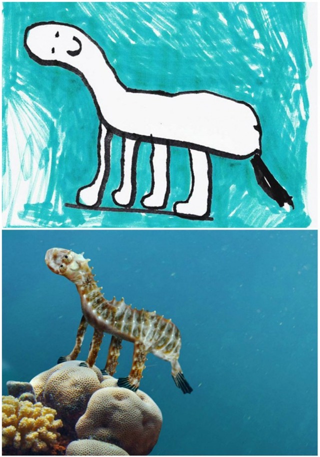 Cá ngựa hay khủng long?