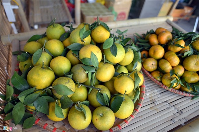 Ca kho Vu Dai, nho Ninh Thuan do bo 'khu nha giau' Ha Noi hinh anh 10