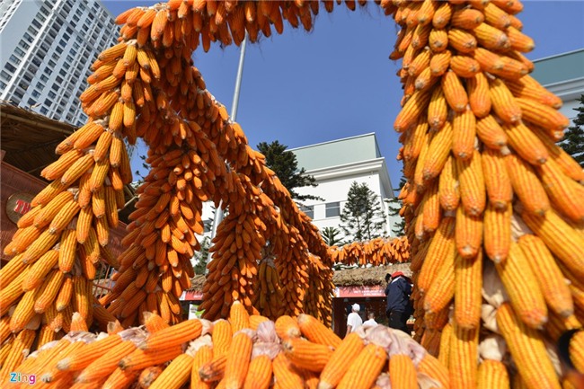 Ca kho Vu Dai, nho Ninh Thuan do bo 'khu nha giau' Ha Noi hinh anh 3