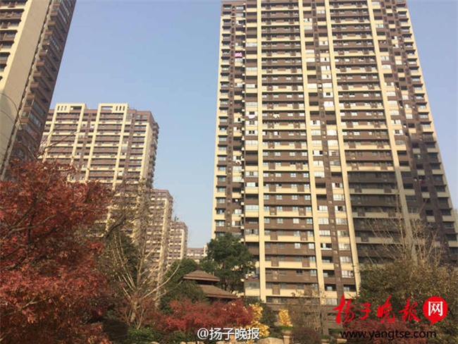 Bà bầu 5 tháng đau khổ tột độ khi sảy thai vì bước nhầm vào thang máy tử thần - Ảnh 1.