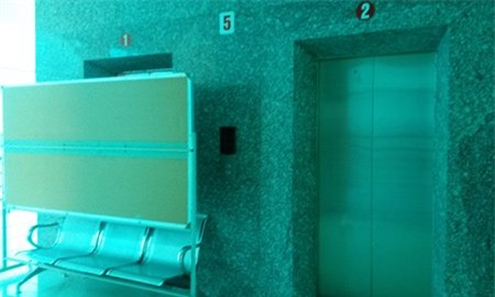 Con trai chết tức tưởi, mẹ kiện đòi bồi thường 1.000 đồng - Ảnh 1.