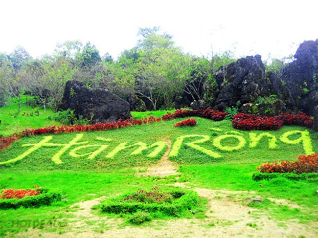 Image result for hàm rồng