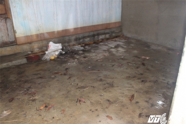 Cuộc sống như thời nguyên thủy của ba mẹ con người rừng ở Huế - Ảnh 3.