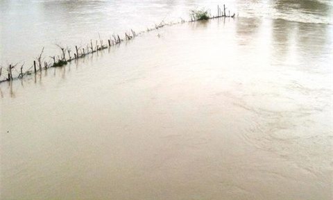 Rơi xuống ruộng ngập nước, nam sinh lớp 8 chết đuối thương tâm - Ảnh 1.