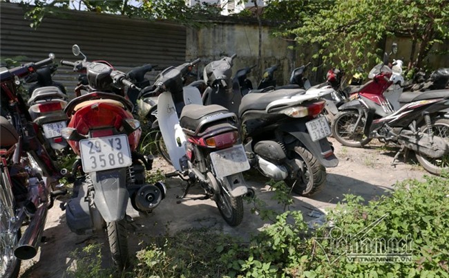 SH, Spacy trùm cỏ, phủ bụi trong bãi xe vi phạm