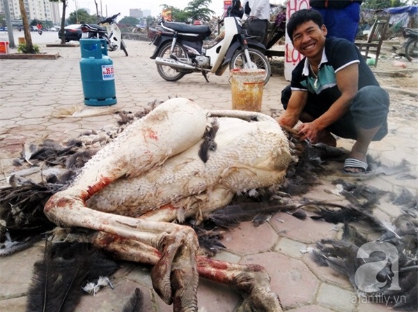 kinh doanh vỉa hè