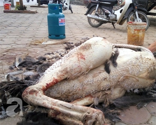 kinh doanh vỉa hè