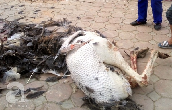 kinh doanh vỉa hè